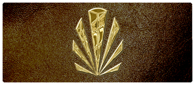 DNSEMP-L-602-GD-SH-BR Gold Sunburst Shimmer Brown